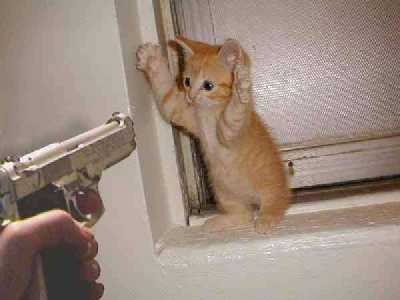 le ti minou ...